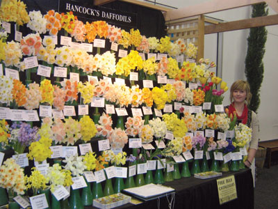 flower show display